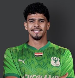مصطفى أبو الخير عفيفي