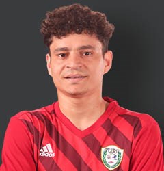 السيد أبو أمينة