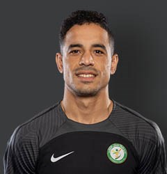 أحمد صبحي عفيفي