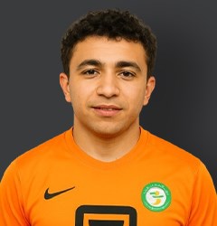 حسن أحمد