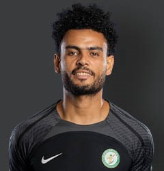 حسن محمود