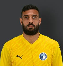 أحمد الشناوي