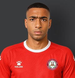 محمود البدري