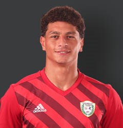 مؤمن محمود