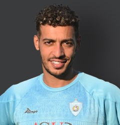 محمود نبيل