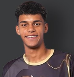 محمود الشناوي