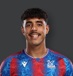 شادي رياض