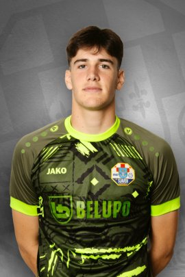 A. Vuković