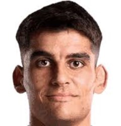 جيرارد مارتن