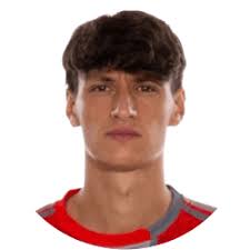 رومانو فلورياني