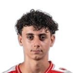 ساندرو فيديغال