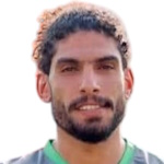 ضياء السيد