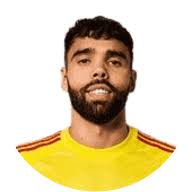 ديفيد رايا