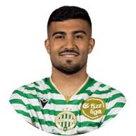 محمد أبو فاني