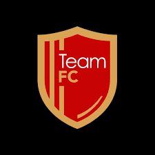 Team